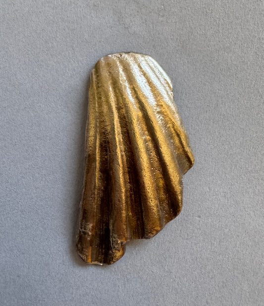 Shell Brooch and Pendant